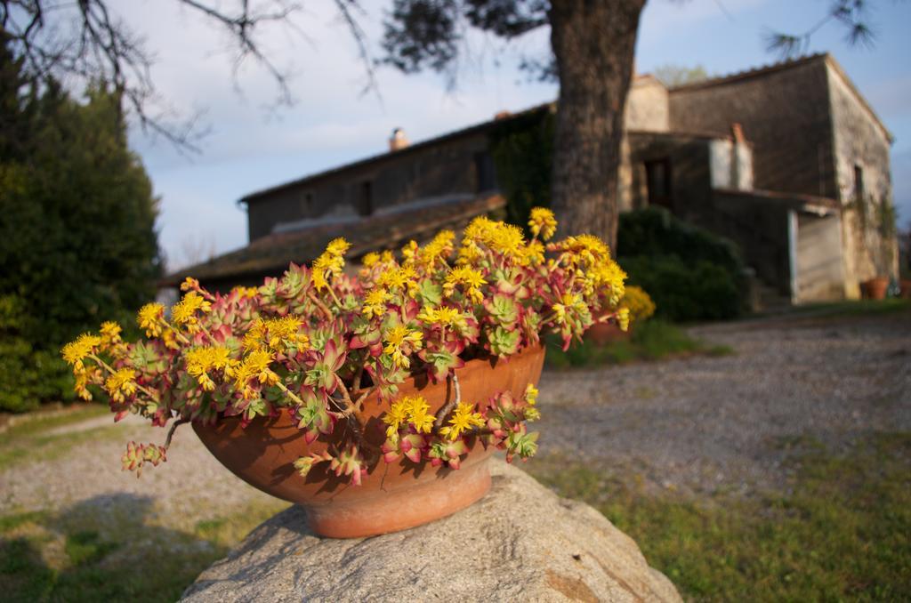 Podere Pinzicalari