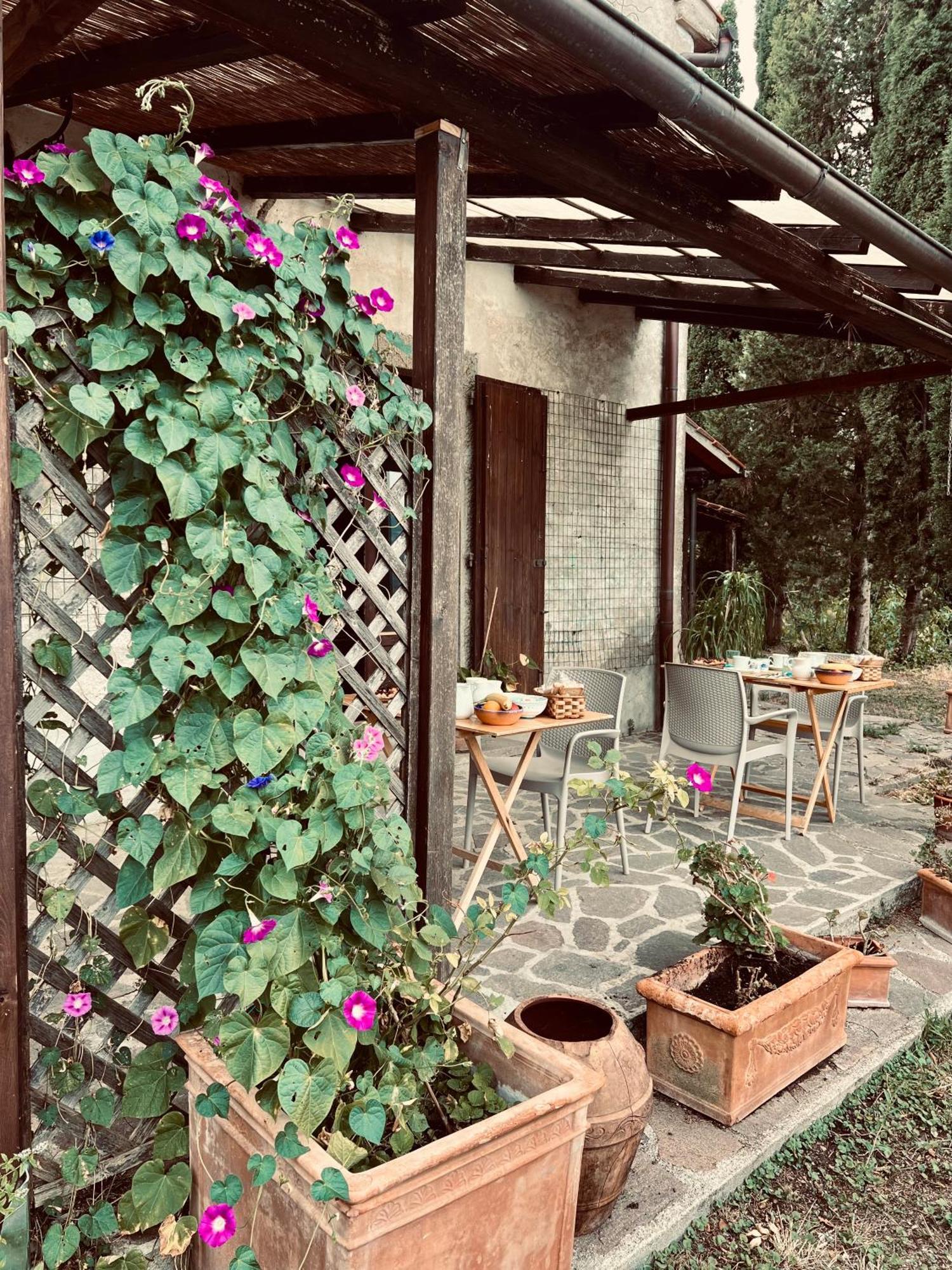 Podere Pinzicalari