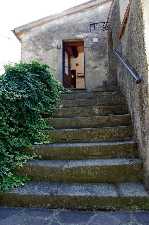 Podere Pinzicalari