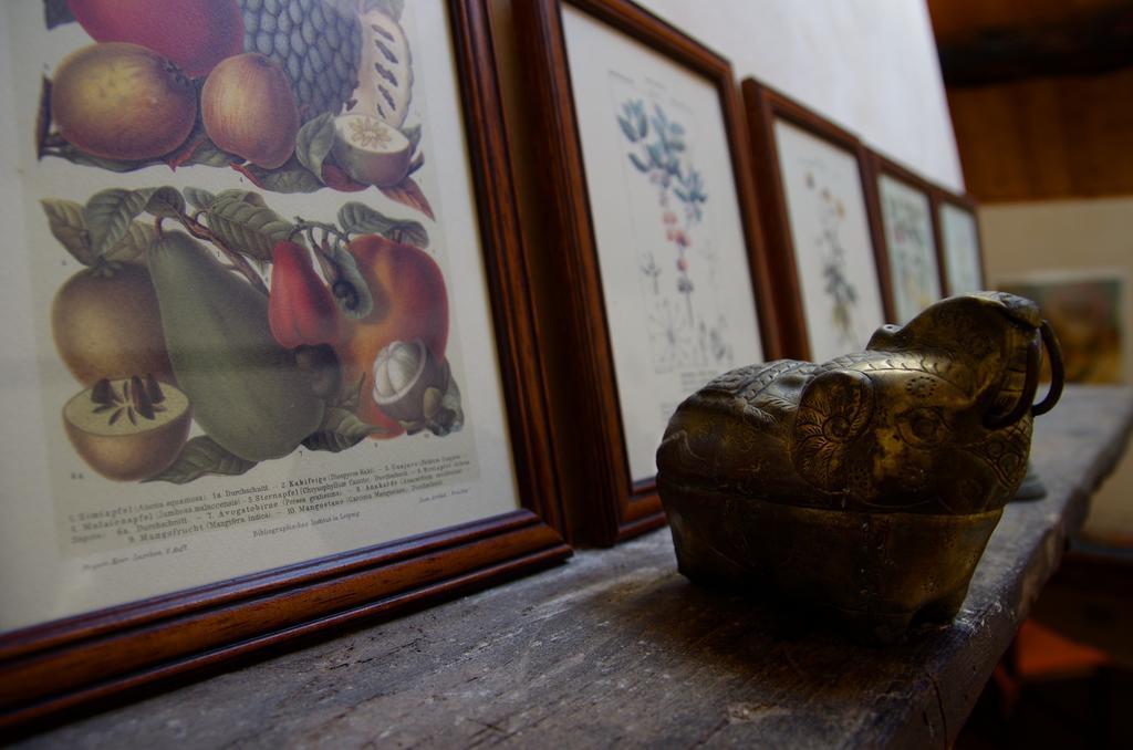 Bed and breakfast Podere Pinzicalari 3*