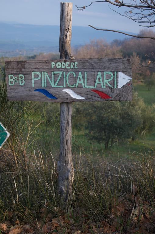 Podere Pinzicalari Castel del Piano (Tuscany)