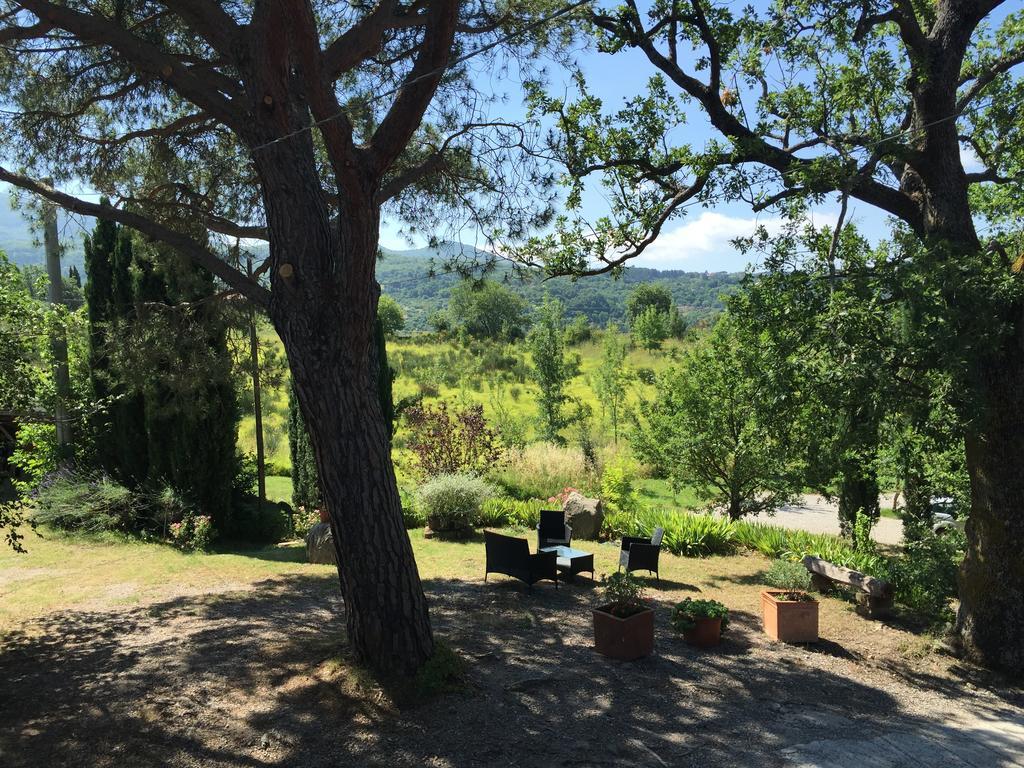 Bed and breakfast Podere Pinzicalari Castel del Piano (Tuscany)